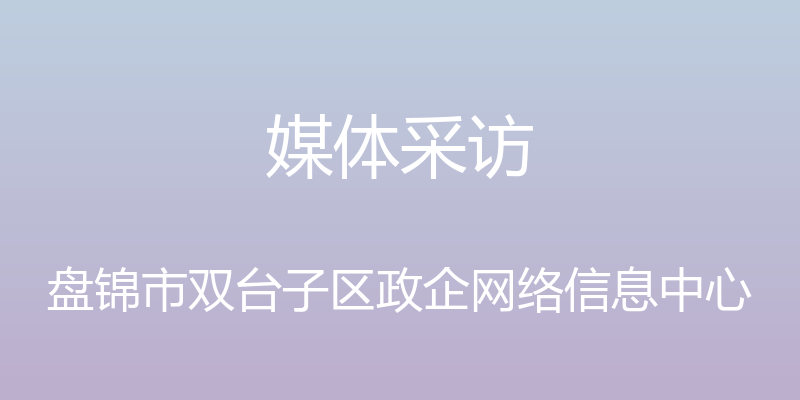 媒体采访 - 盘锦市双台子区政企网络信息中心