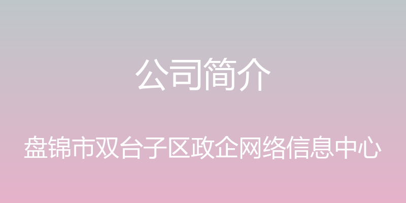 公司简介 - 盘锦市双台子区政企网络信息中心