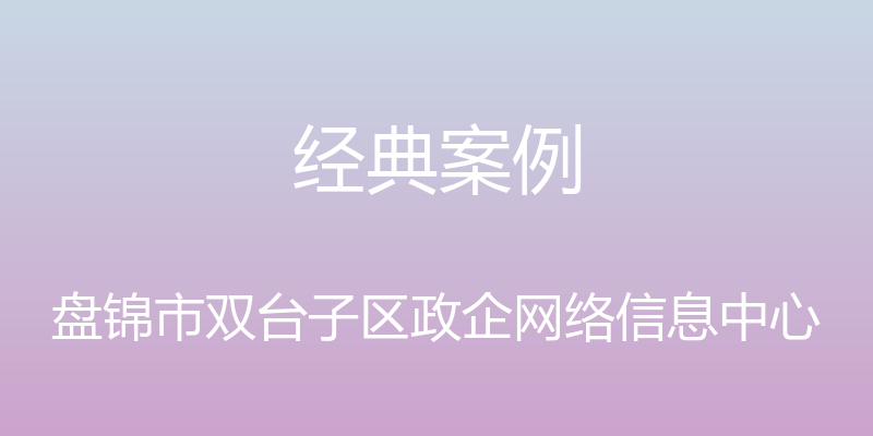 经典案例 - 盘锦市双台子区政企网络信息中心