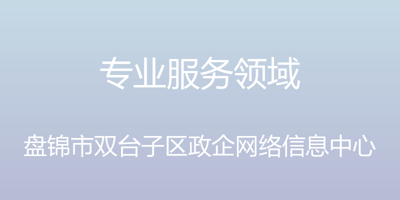 专业服务领域 - 盘锦市双台子区政企网络信息中心